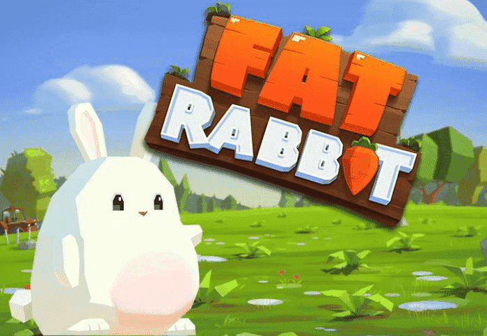 fat rabbit
